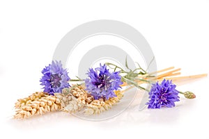 Ears of wheat with cornflowers