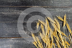 Ears of wheat a on a dark wooden background. wheat crisis and record high prices for bakery products