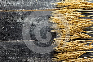 Ears of wheat a on a dark wooden background. wheat crisis and record high prices for bakery products