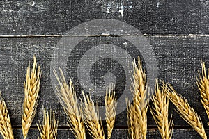 Ears of wheat a on a dark wooden background. wheat crisis and record high prices for bakery products