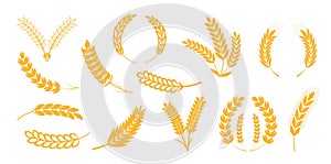 Ears of wheat, ear of rye, spikelet set vector. Cereals plant icons in flat style for cafe, product package.