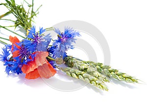 Ears of wheat with fields flowers