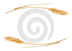 Ears of wheat. Frame