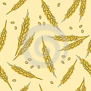 Ears of wheat hand drawn seamless pattern. Whole grain, natural, organic background for bakery package, bread products. Vector ill