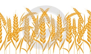 Ears of wheat horizontal border seamless. Gold color grain with cartoon style. Vector illustration.