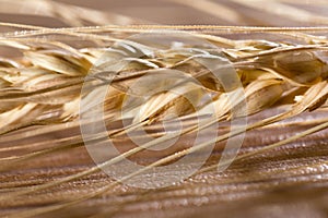 Ears of wheat . macro