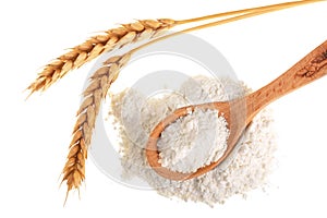 Ears of wheat and pile of flour in wooden spoon isolated on white background. Top view. Flat lay