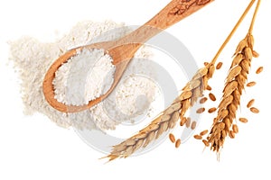 Ears of wheat and pile of flour in wooden spoon isolated on white background. Top view. Flat lay