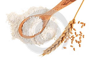 Ears of wheat and pile of flour in wooden spoon isolated on white background. Top view. Flat lay