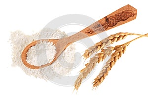 Ears of wheat and pile of flour in wooden spoon isolated on white background. Top view. Flat lay