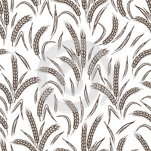 Ears of wheat seamless pattern