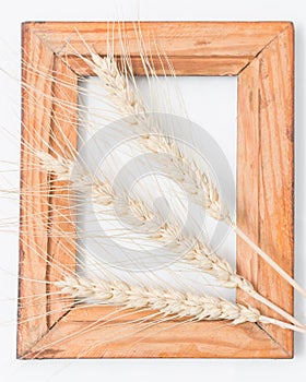 Ears of wheat in a wooden frame