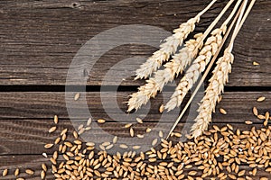 Orecchie da grano sul di legno tavolo 