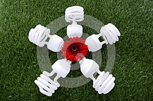 Earth Day, April 22, concept with energy saving light bulbs.