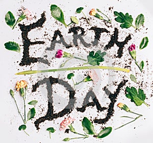 Earth day background with wild spring flowers petals, leaves and stems
