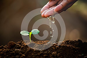 Earth day concept. Drop water on hand for growing tree. Protect the environment.