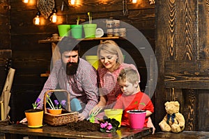 Earth day concept. Family replant flower in new pot on Earth day. Child boy with mother and father potting flower on