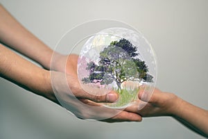 earth day concept senior hands giving small planet earth with tree to a child over defocused green background