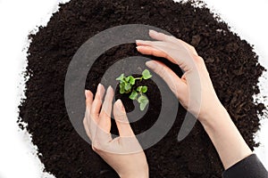 Earth day and Ecology.Plant in hands.Young couple carrying plant and planted a plant in to the soil on land back ground.field,land