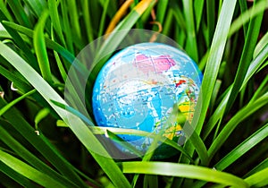 Earth Day Environment on Green Leaves Tree Growth Nature Background, Globe Planet Map in Forest, Concept for Ecology Save