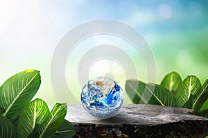 Earth Day, Globe In Forest With Moss And green nature background. Elements of this image furnished by NASA