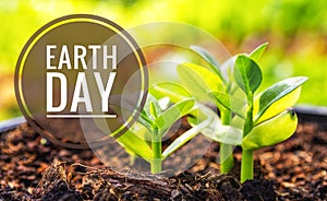 Earth day logo with Young plant growing over blurred garden