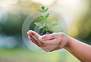 Earth day, nature plant and hands of woman with new tree life, green leaf or support agriculture sustainability growth