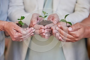 Earth day, nature plants and hands of business people with new tree life, green leaf or nurture agriculture growth