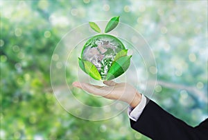 Earth day, Protect the world with environment and Eco-friendly business. Businessman hand holding globe with leaves. Element of th