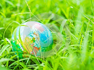 Earth Environment Concept Globe on Green Grass Forest Background, World Map Day, Conservation Ecology Recycle Save Co2 Climate,