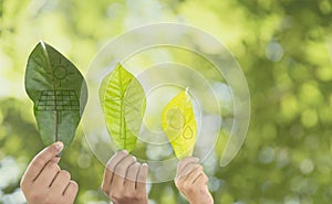 Earth Environment Day,  Hand holding a leaf and environment  icons energy sources for renewable with sustainability. Forest