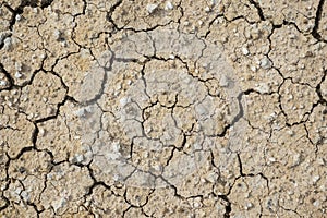 Earth environmental resources cracks from ground drought