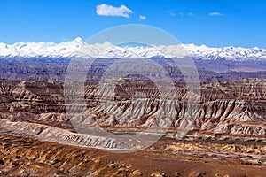Earth Forest Geopark in Zhada County, Tibet