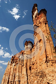 Earth forest scenic area of yuanmou county