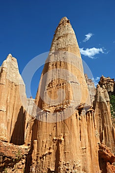 Earth forest scenic area of yuanmou county