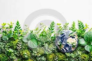 Earth globe with green leaves and plants on white background. Environment and conservation concept