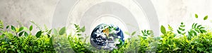 Earth globe with green leaves and plants on white background. Environment and conservation concept