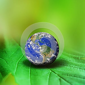 Earth on Green Leaf