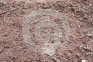 Earth ground covered with compost mulch fragment as a texture ba