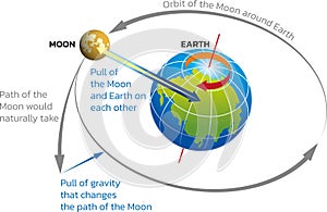 Earth and Moon gravity