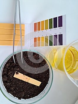 Earth with PH test stripe and yellow liquid in laboratory