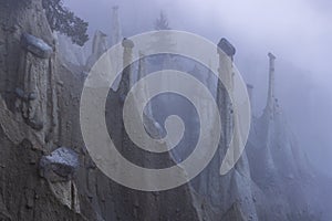 Earth pyramids of Platten (Erdpyramiden - Piramidi di Plata) near Percha and Bruneck,  South Tyrol, Italy