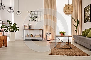 Earth`s tones home interior photo