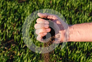 The earth spills out of the hand down into the background of a planted field in spring