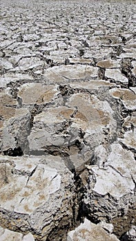 The earth texture of land drought the soil ground cracks and no water lack of moisture in dry hot weather