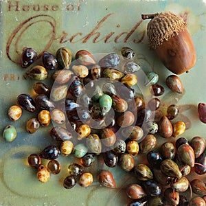 Earth tone glass beads teardrop on colorful background. Autumn inspired bead mix for jewelry making and crafts