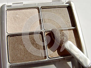 Earth Tones Eye Makeup