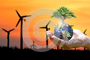 Earth with a tree on a person's hand against the wind turbines on the field