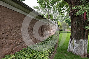 Earth walls of ancient buildings and ancient ginkgo trees