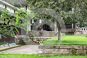 Earth walls of ancient buildings and ancient ginkgo trees